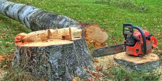 Best Leaf Removal  in Franklinton, NC